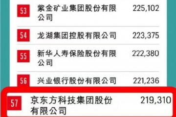 BOE(京东方)连续12年上榜《财富》中国500强 排名跃升至第57位